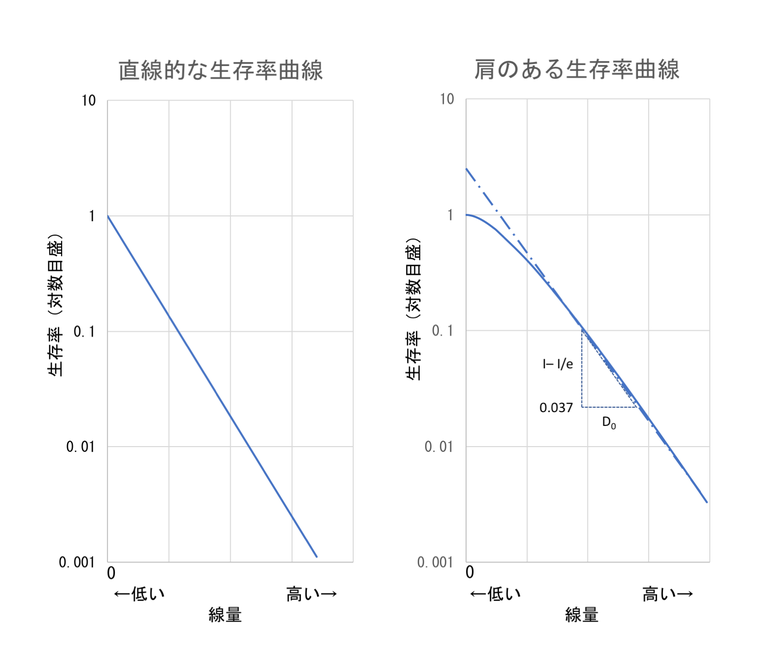 生存率曲線。左側が直線的な生存率曲線、右側が肩のある生存率曲線。いずれも縦軸に生存率を対数目盛、横軸は線量で作成。